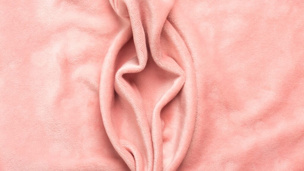 Pink fabric shaped like labia